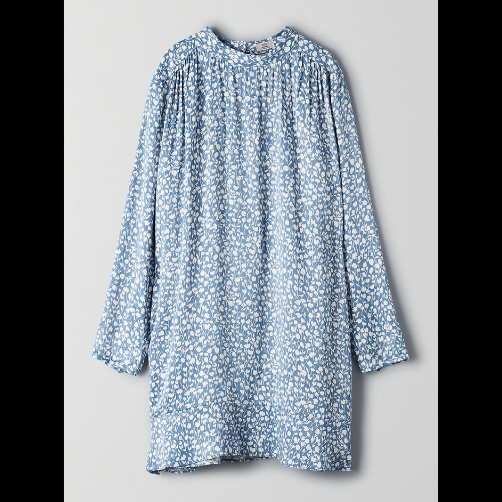 Aritzia dress